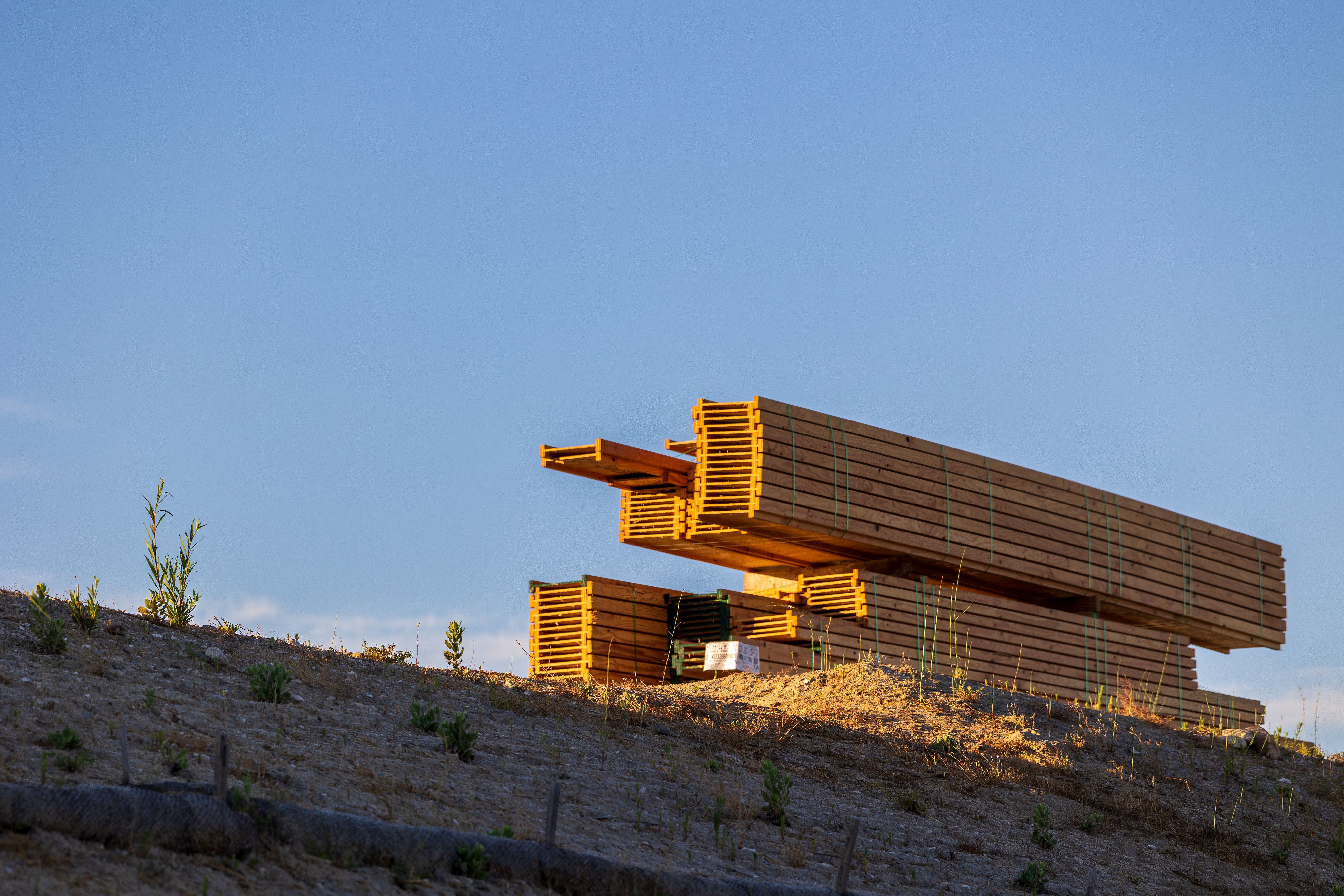 Modern building showcasing quality window installations